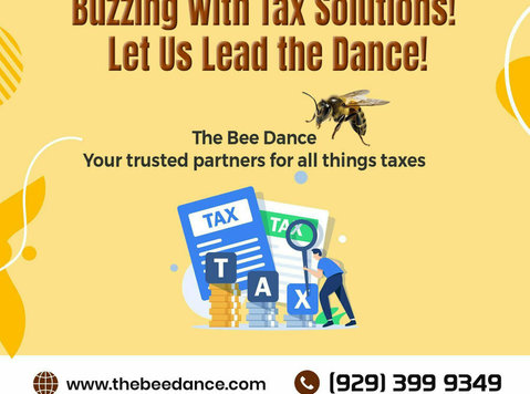 Outsourced Cfo Services In New York - The Bee Dance - Работники финансовых служб