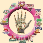 Astrologer And Palmist