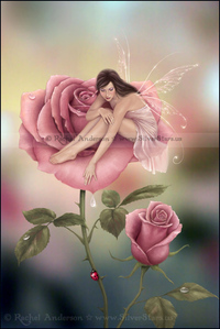 rose fairies