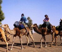 Cameltrekking Excursions