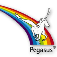 Möbelspedition Pegasus Logistik KG 