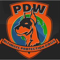 protection dogs Worldwide