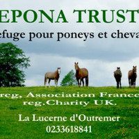 The Epona Trust Charity