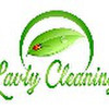 Lavty Cleaning