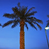 Abdulaziz Alfahad