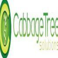 Cabbage Tree Solutions