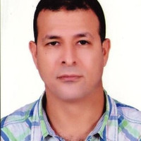 Hany Hassan