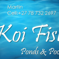 KOI Fish