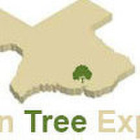 Texan Tree Experts