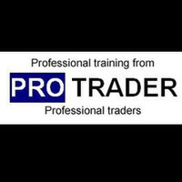 Professional  Trader Ltd