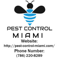 Expert Pest Miami