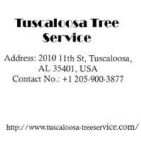 Tuscaloosa TreeService
