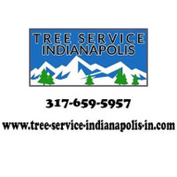 Tree Service Indianapolis