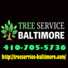 Clipper City Tree Service