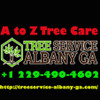 A to Z Tree Care
