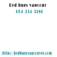 BedBugs Vancouver