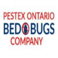 Canine Bed Bug  Ancaster
