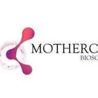 Mother cell