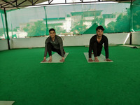 HariOm Yoga