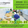 organica Group sarl