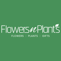 Flowers N Plants