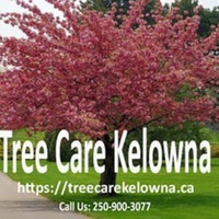 TreeCare Kelowna
