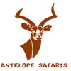 Antelope  Safaris