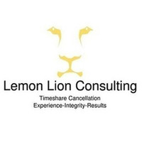   Lemon Lion Consulting