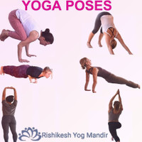 Rishkesh Yoga