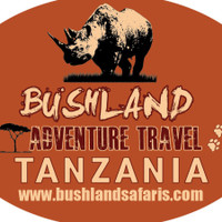 Bushland Advent Travel