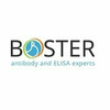 Boster Biological Technology