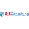 Gis   Consulting
