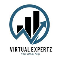 Virtual  Expertz
