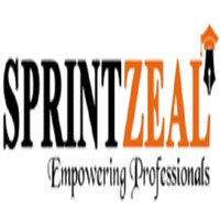 Sprintzeal Amer Inc