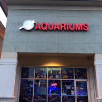 Neptunes Aquariums
