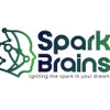 Spark Brains