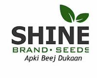 Shine Brand Seeds