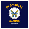 play4rise gaming