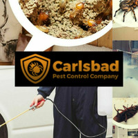 Carlsbad Pest Control Company