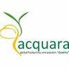 Acquara Management Consultant