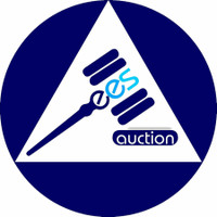 EES Auction in Nigeria