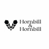 Hornbill And Hornbill