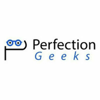 PerfectionGeeks Technology