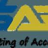 sab auditing