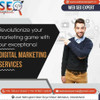 webseoexpert seo