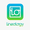 Lineology Web