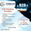 B2B Database Provider India