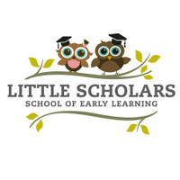 Little Scholars School Of Learning