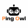 Ping Owl
