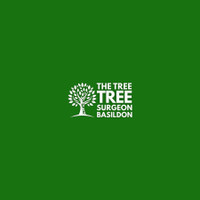 Basildon Tree Surgeon